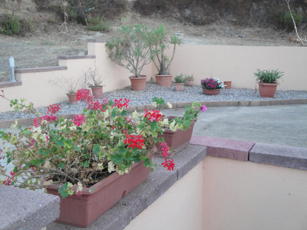 La Jatta Hotel Budoni Exterior foto